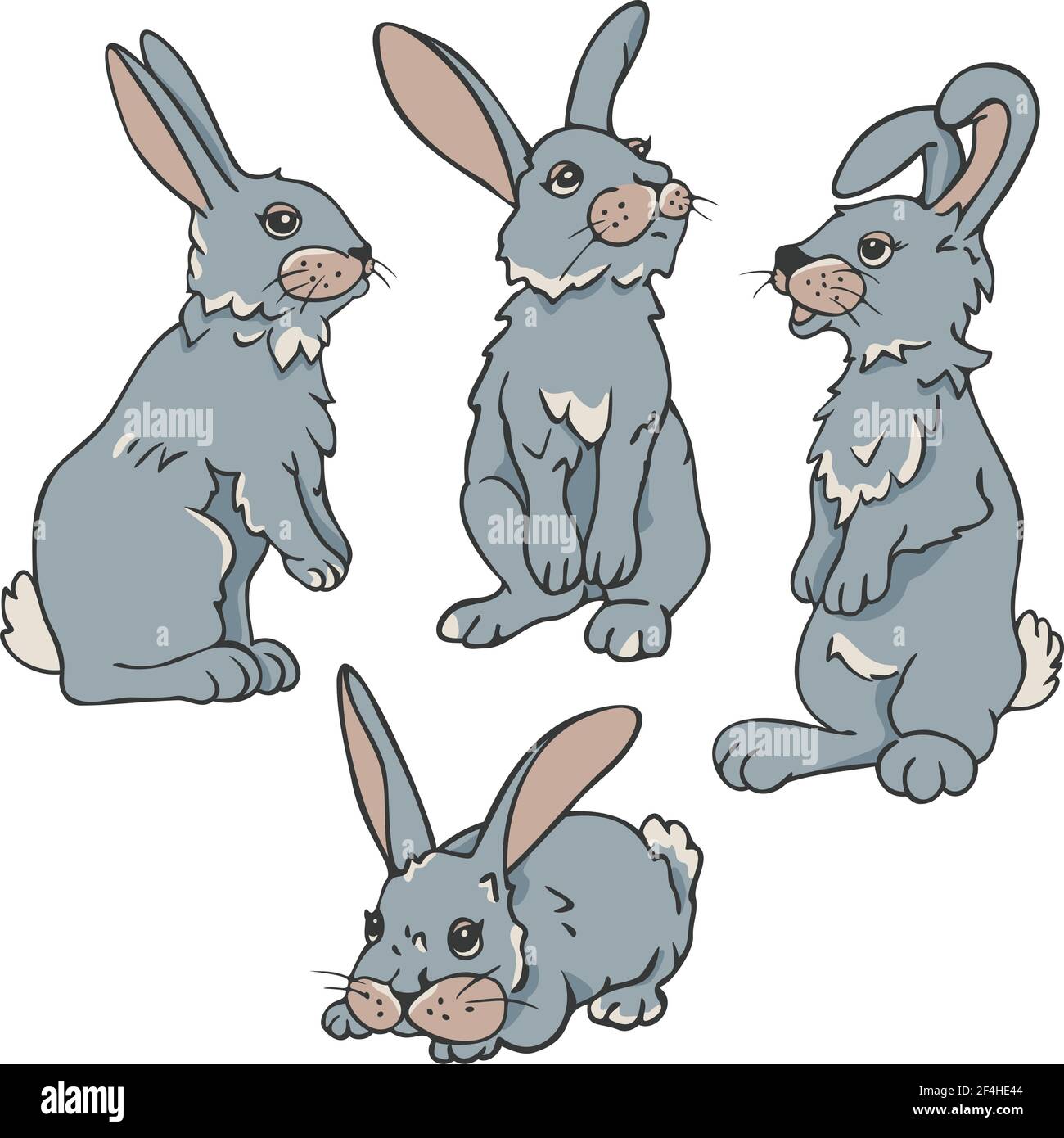 Vector set of four rabbits in different postures. Collection of hares. Stock Vector