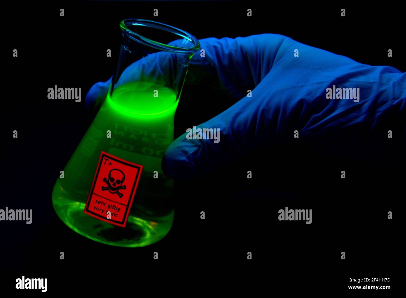 Toxic sample hold by a scientist in a laboratory - radioactive - fluorescence in conical flask - erlenmeyer flask Stock Photo