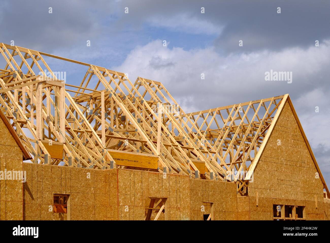 Wood Sheathing and Roof Trusses Stock Photo