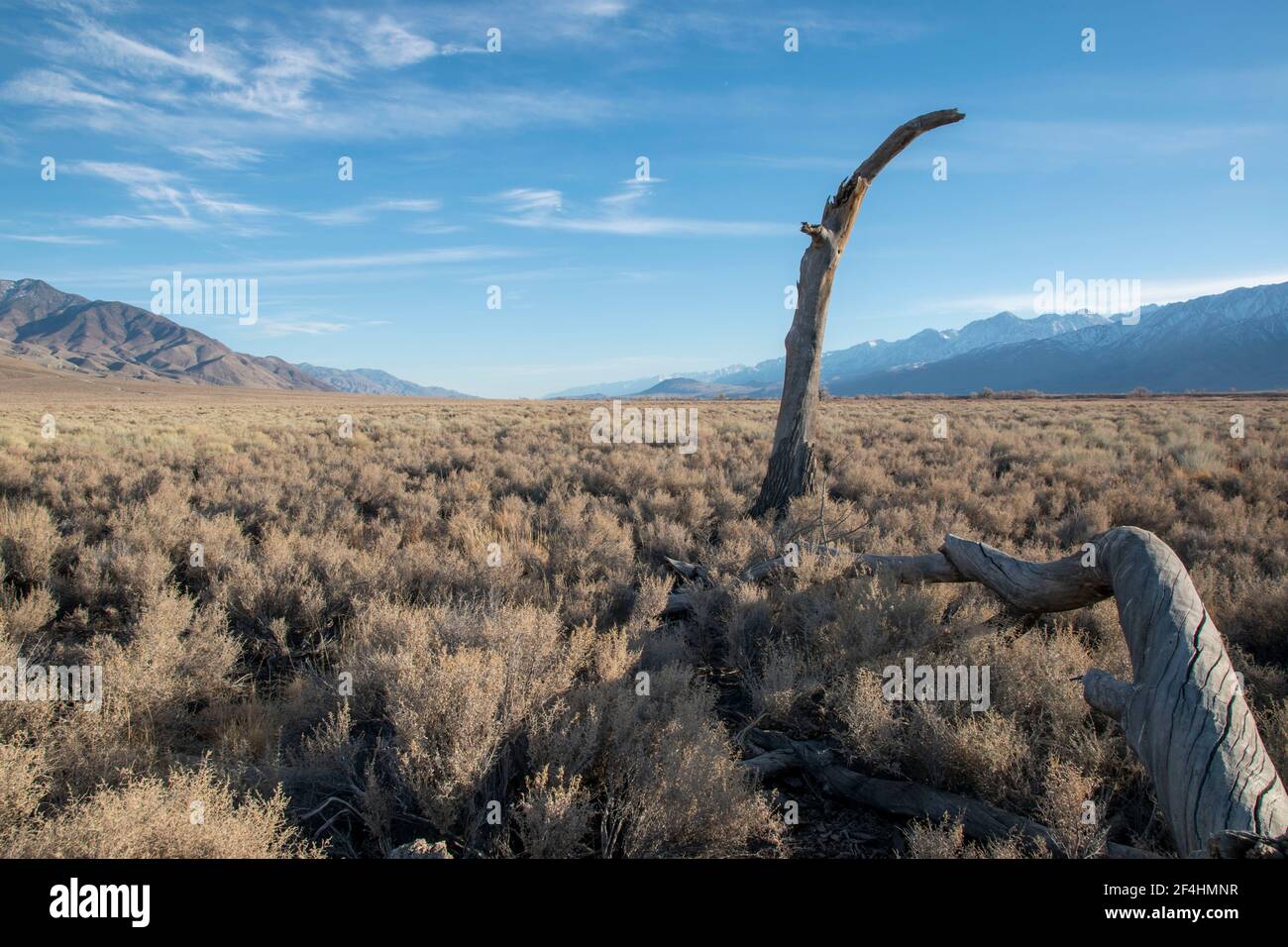 Owens Valley in Inyo County is a lonely, isolated place in the Eastern Sierra of California, but