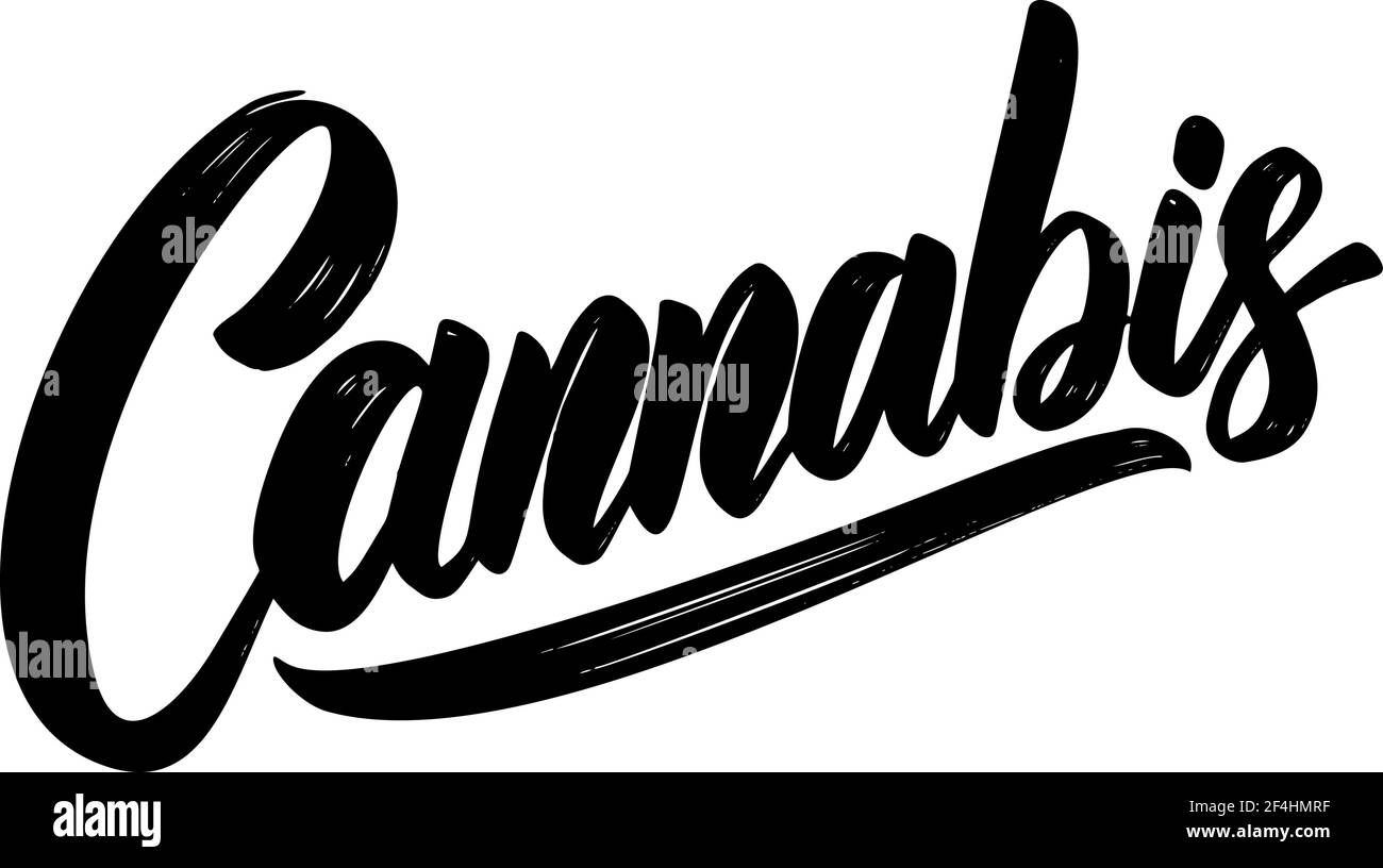 Cannabis. Lettering phrase isolated on white background. Design element
