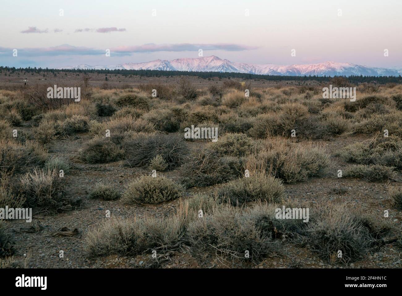 Lake Crowley is a reservoir that sits in the middle of a large caldera