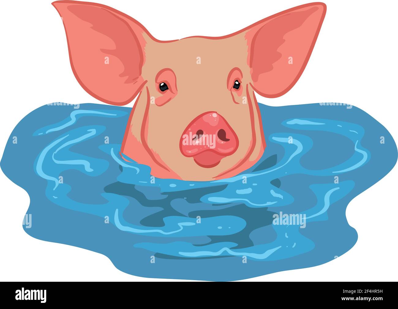 Vector pig cartoon character swimming isolated on white background. Stock Vector