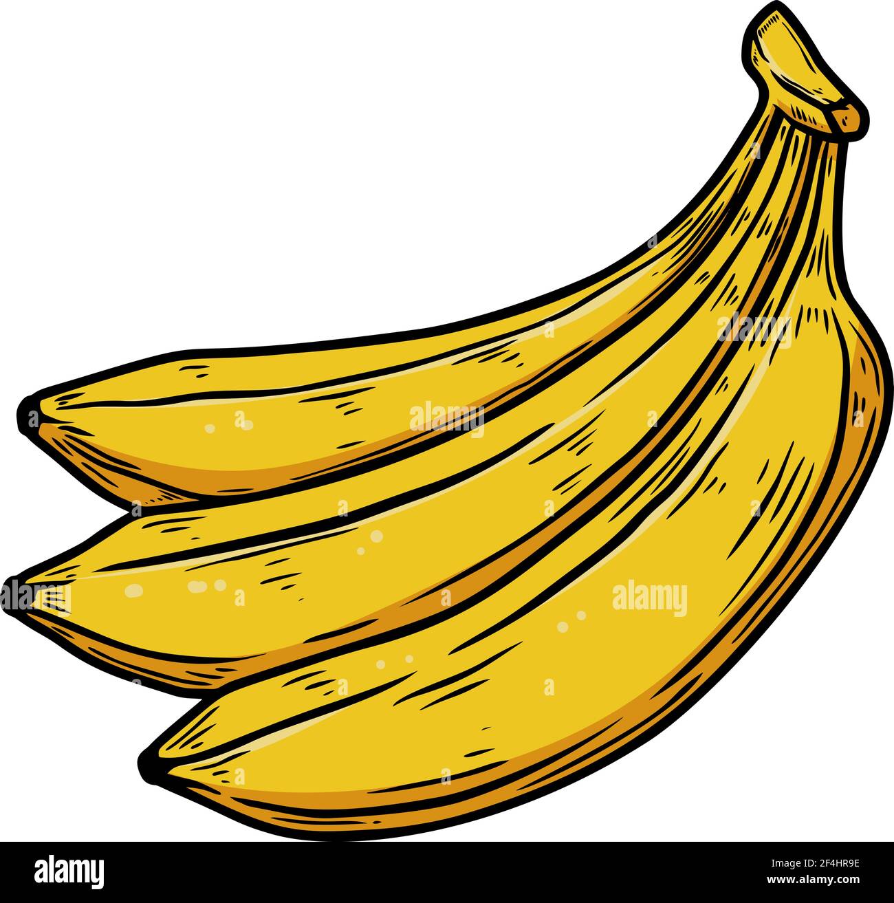 Banana peel cartoon stock vector. Illustration of fresh - 142654942