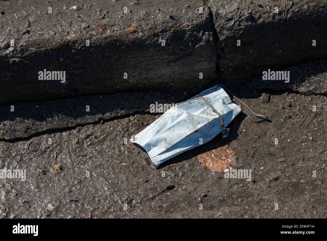 A used disposable face mast discarded in the gutter. Stock Photo
