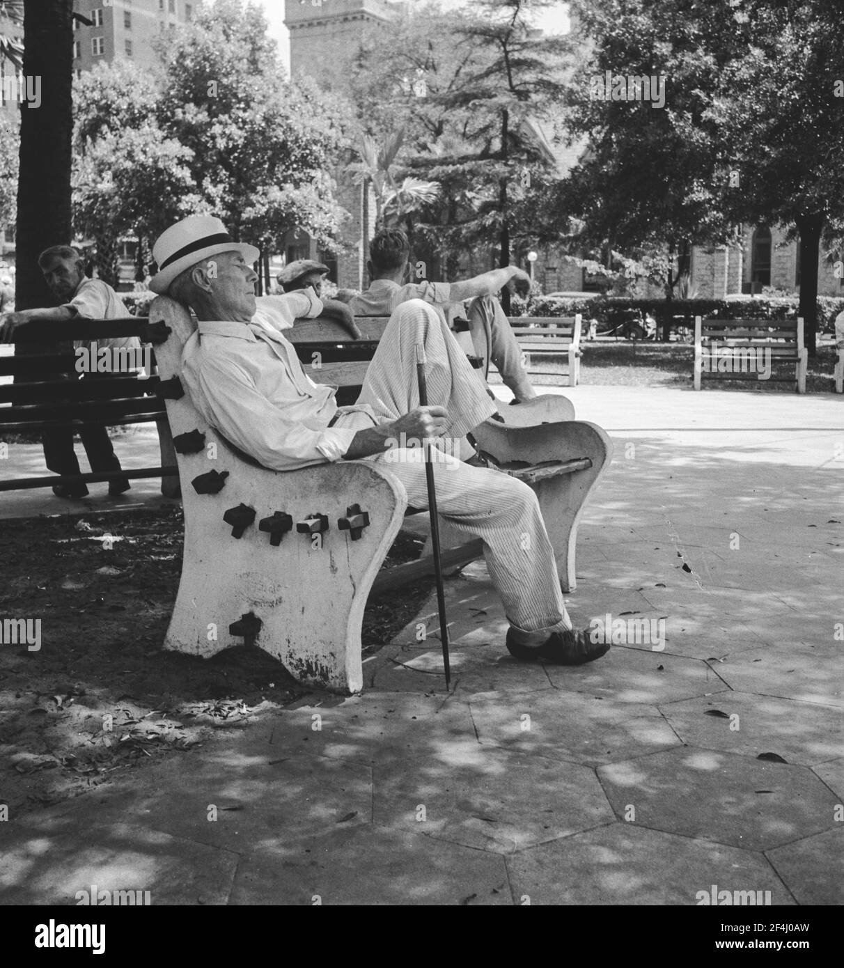 Scene in a downtown park. Jacksonville, Florida. July 1936. Photograph ...