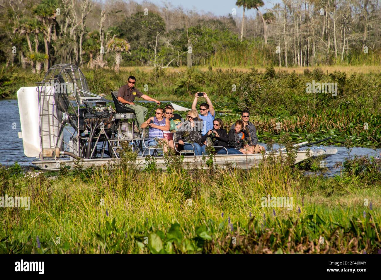Swamp billy airboat best sale rides