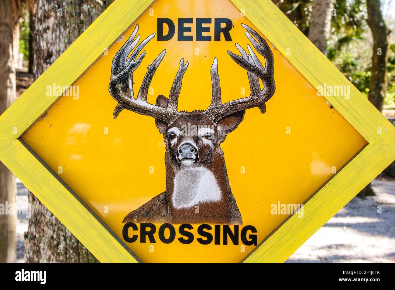 Deer Crossing Sign at the Seminole Tribe of Florida’s Billie Swamp Safari. Stock Photo