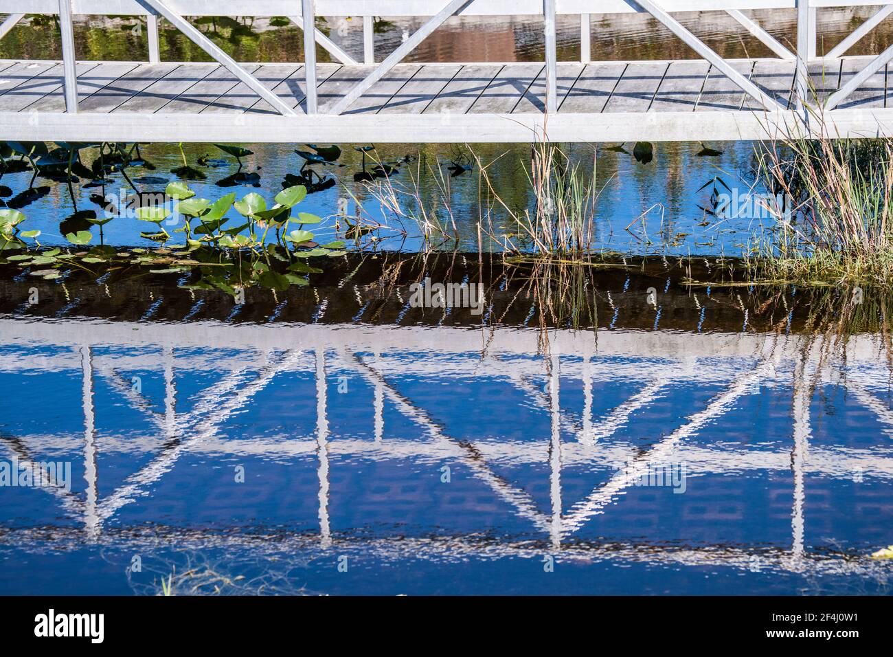 Alligator ramp hi-res stock photography and images - Alamy
