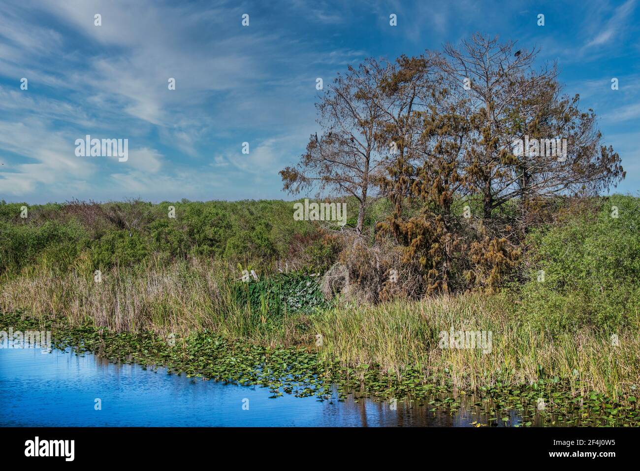 Water conservation area 3a francis s taylor wildlife management area hires stock photography
