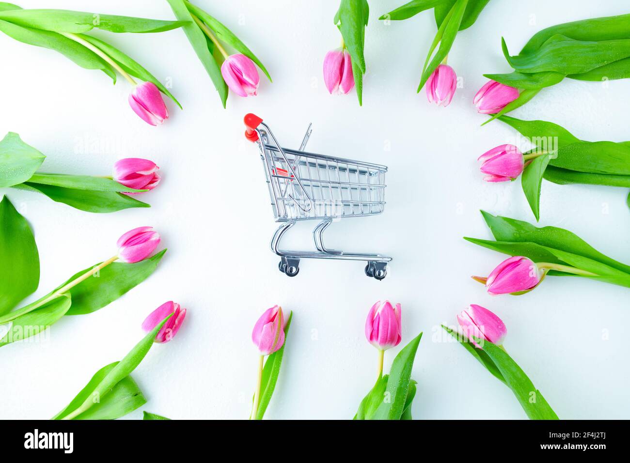 spring flat lay with tulips and shopping cart isolated on white