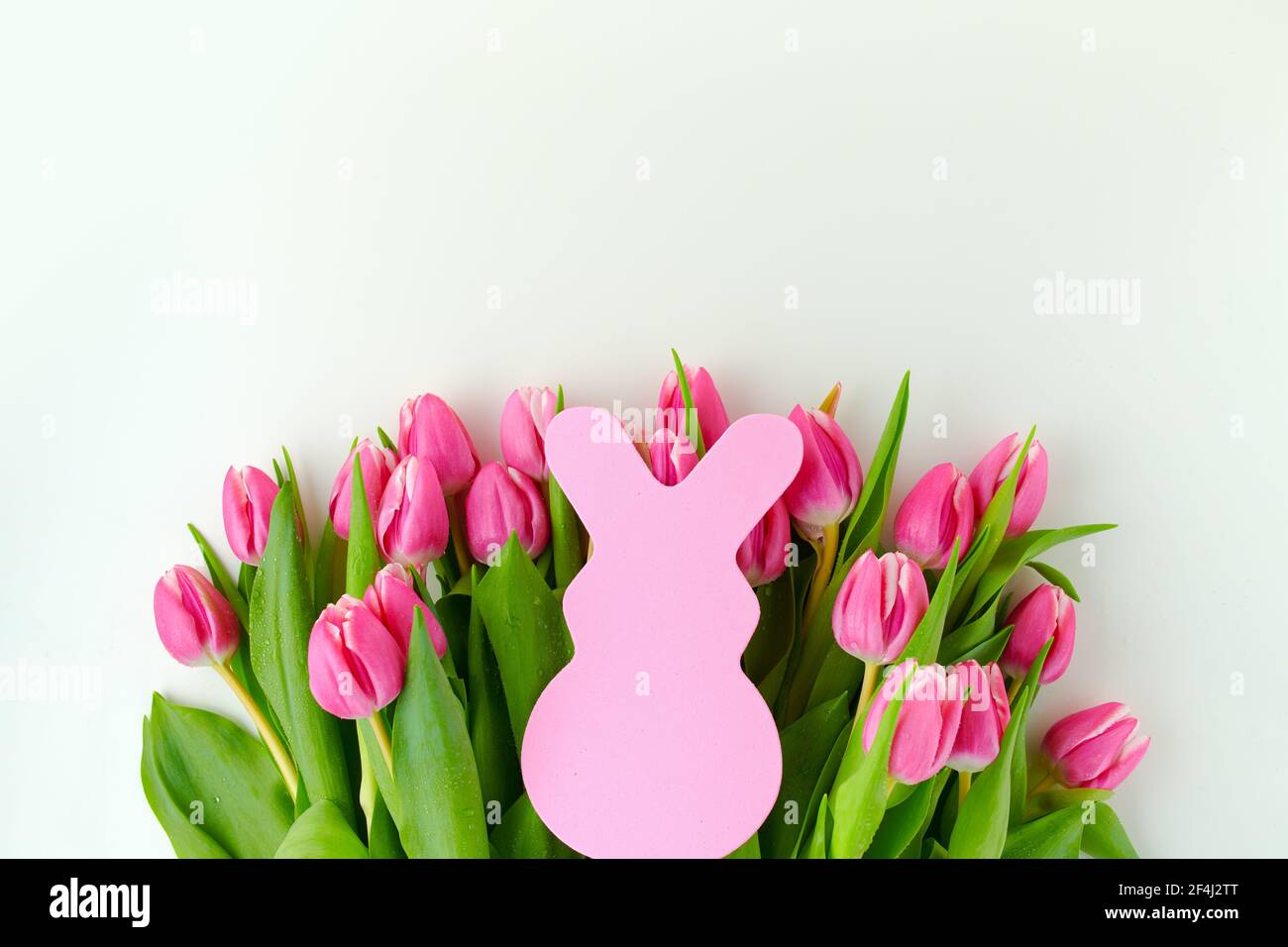 spring flat lay with tulips and easter bunny isolated on white Stock ...