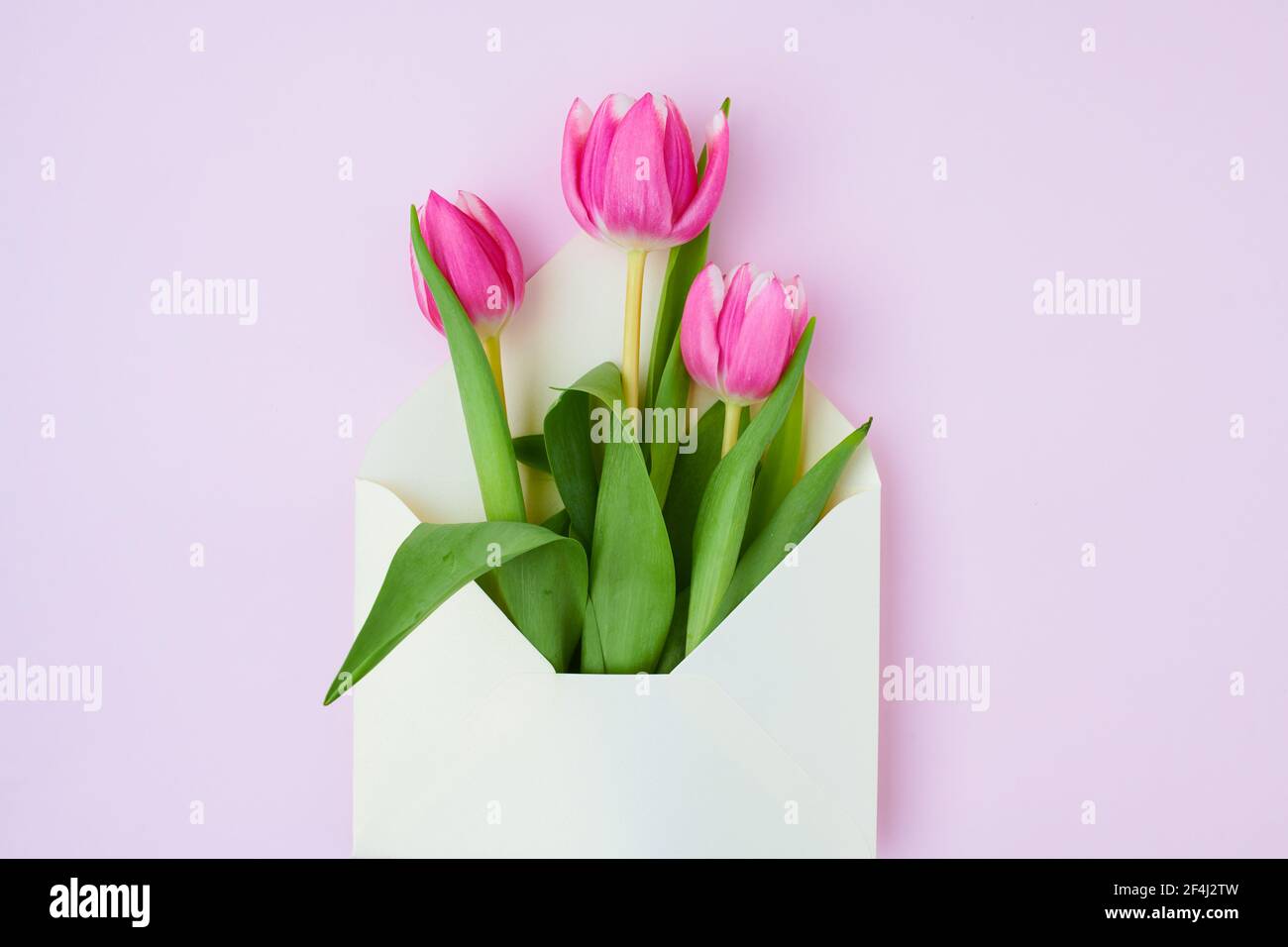 spring flat lay with letter and tulips isolated on pink Stock Photo - Alamy
