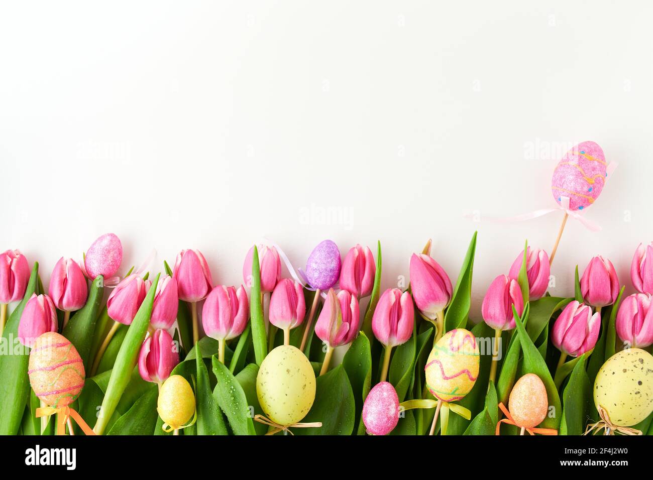spring flat lay with tulips and easter eggs isolated on white ...