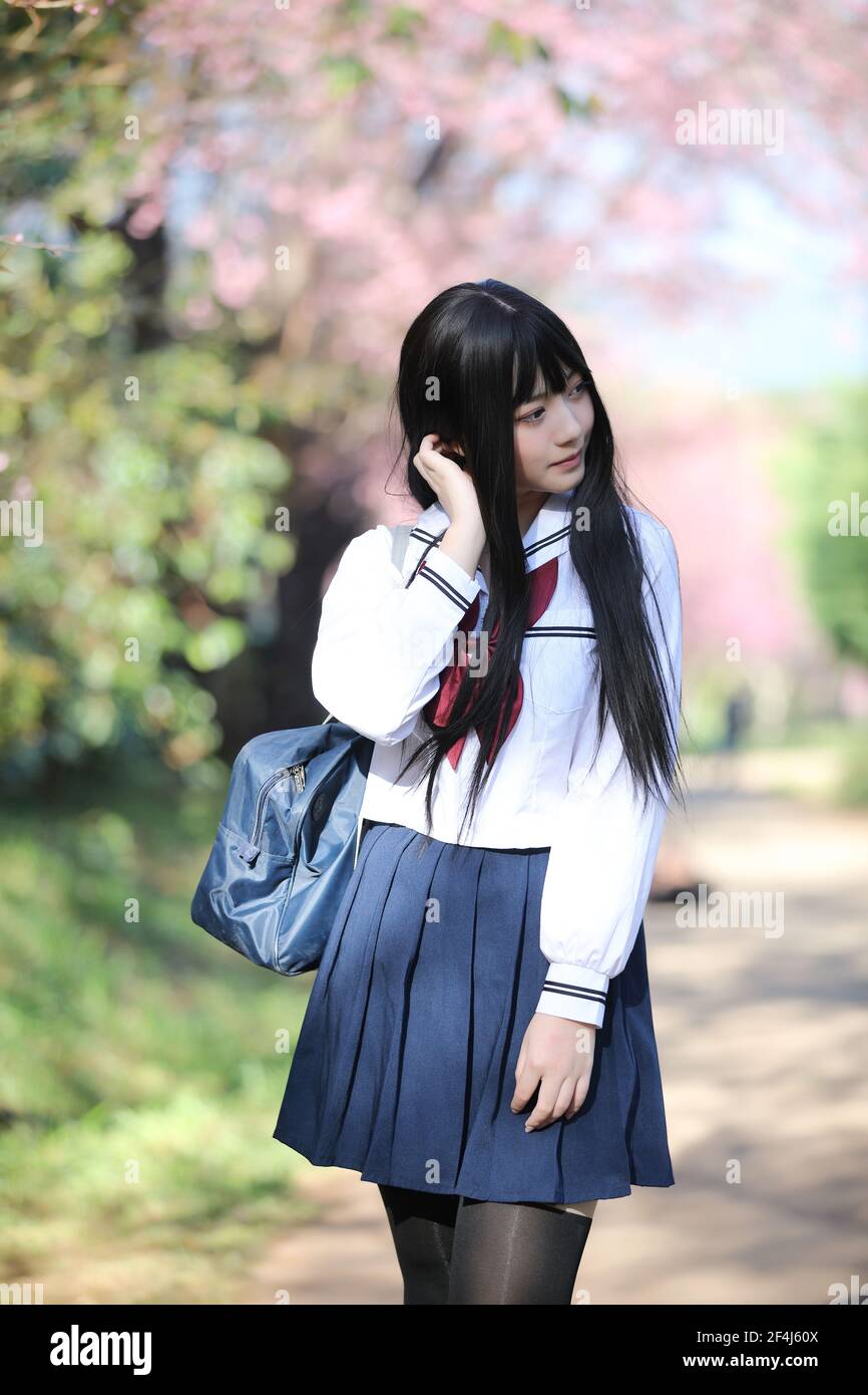 Japanese school girl dress with sakura flower nature walkway Stock Photo -  Alamy