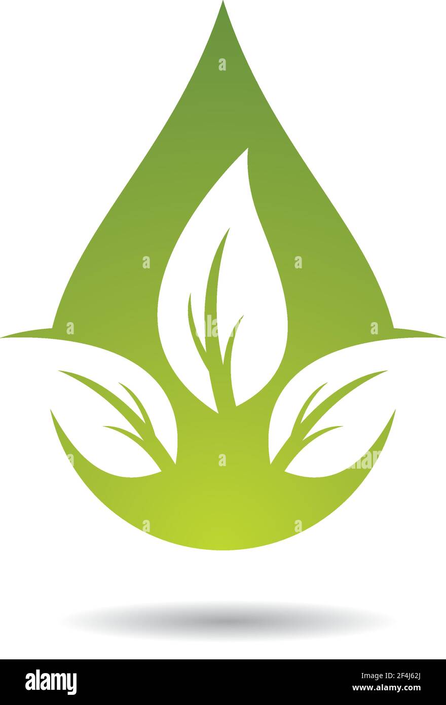 Logos of green leaf ecology nature element vector icon Stock Vector ...