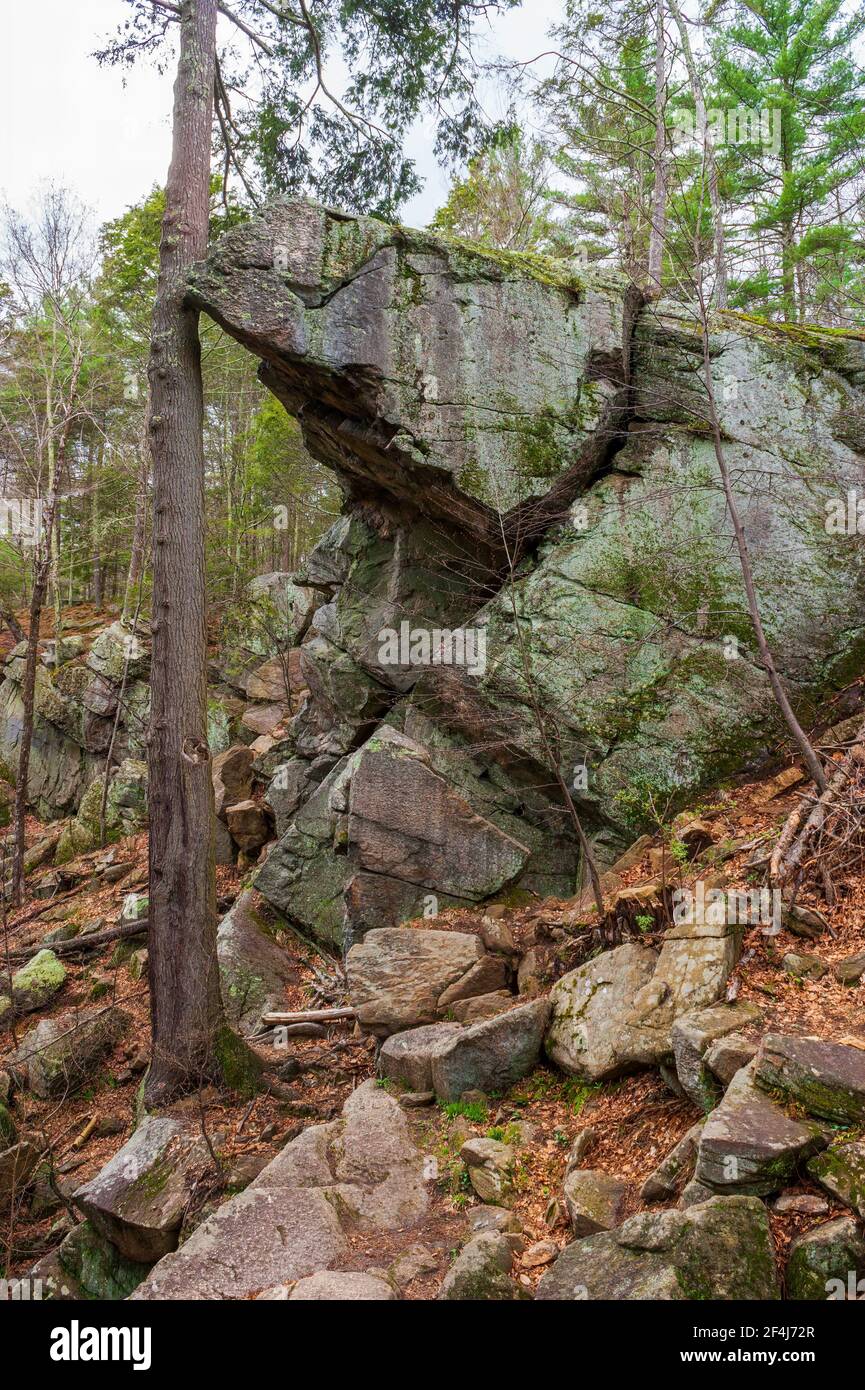 The Devil’s Pulpit. Purgatory Chasm State Reservation, Sutton, MA, USA Stock Photo