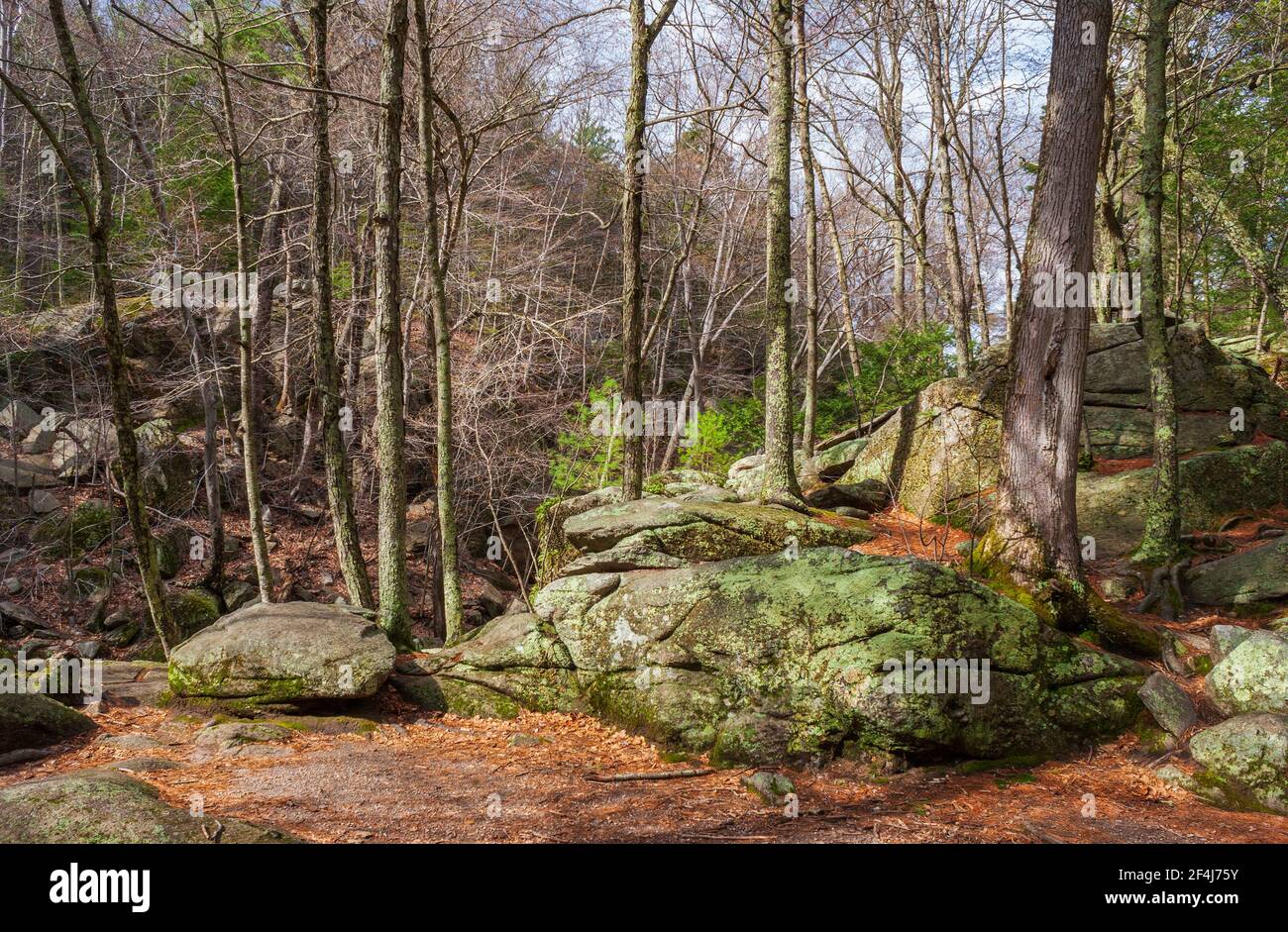 Purgatory Chasm State Reservation, Sutton, MA, USA. Trail above the chasm, looping back to the entrance. Stock Photo