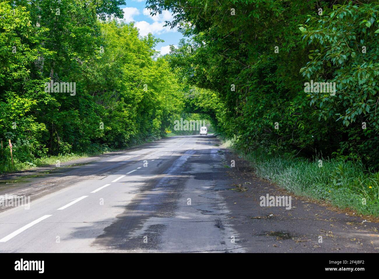 on a wet asphalt road, passing through the forest forming mysterious green arches from the branches, a white minibus is driving into the distance Stock Photo