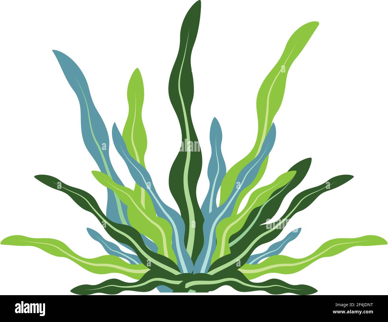 Seaweed logo template vector icon illustration design Stock Vector
