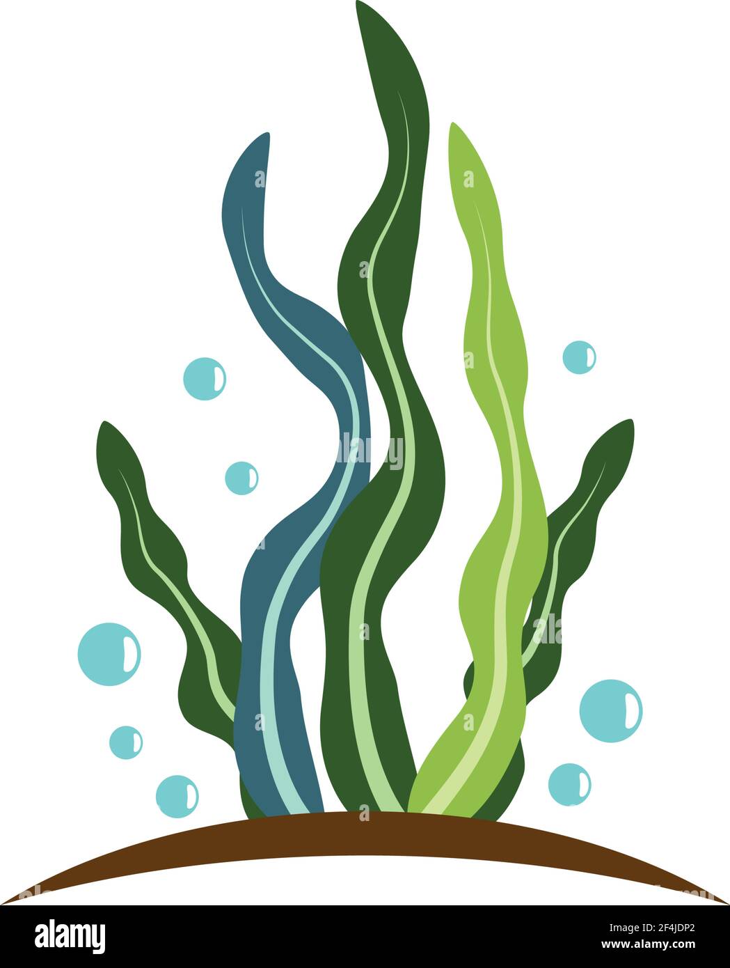 Seaweed logo template vector icon illustration design Stock Vector ...
