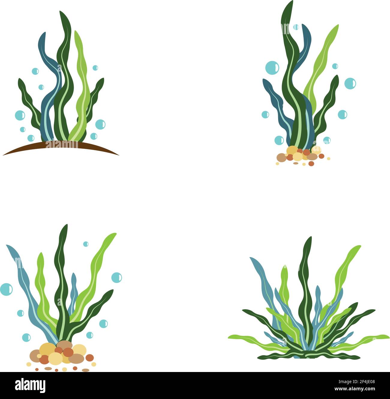 Seaweed logo template vector icon illustration design Stock Vector