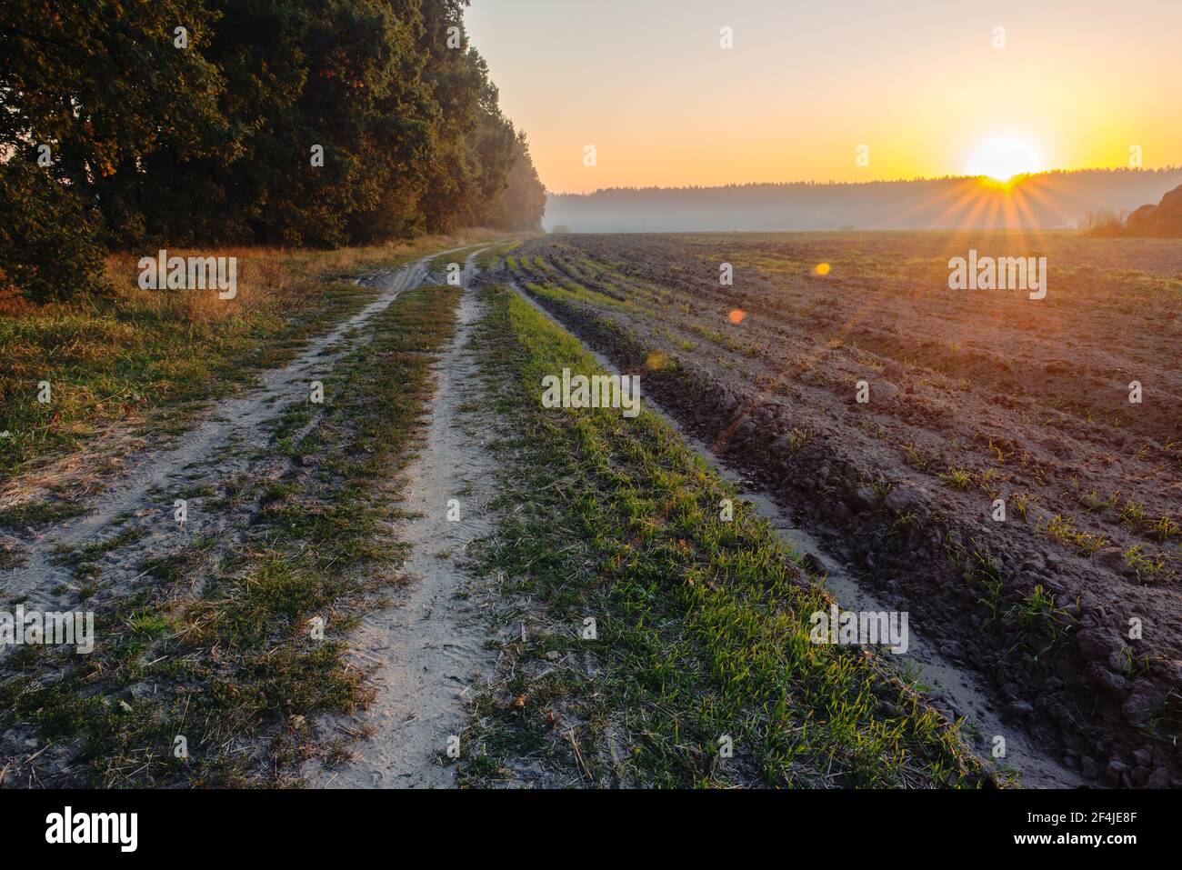 Beautiful sunrise on a country road along a plowed field. Stock Photo