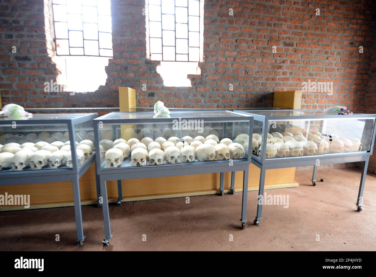 Human skulls at the Ntarama Genocide Memorial centre in Rwanda. Stock Photo