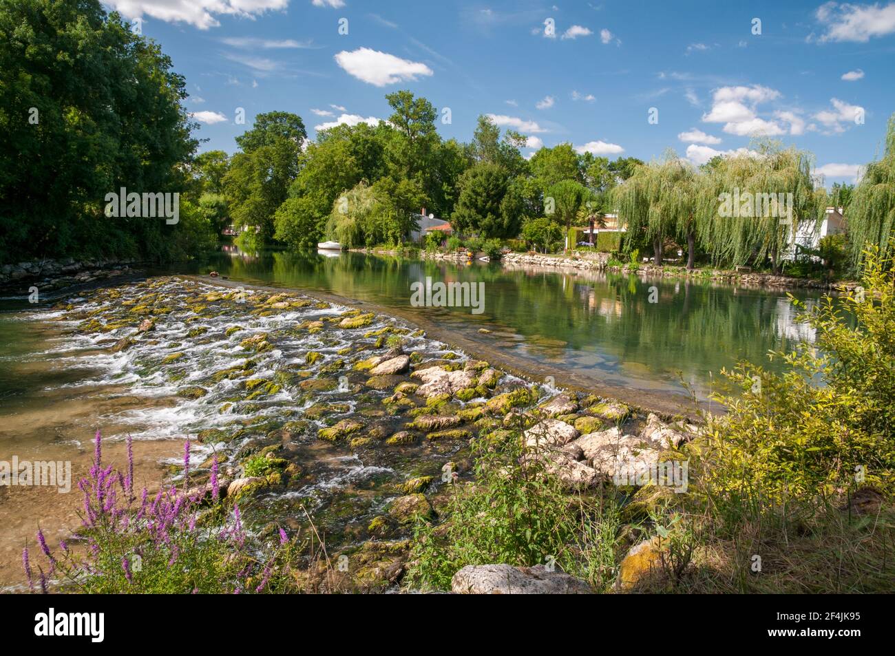The Charente river, Vibrac, Charente (16), NouvelleAquitaine region