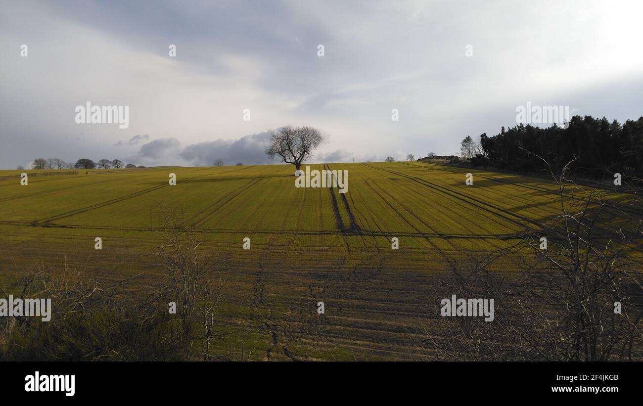 Landscape view of rural fields under the cloudy sky Stock Photo - Alamy