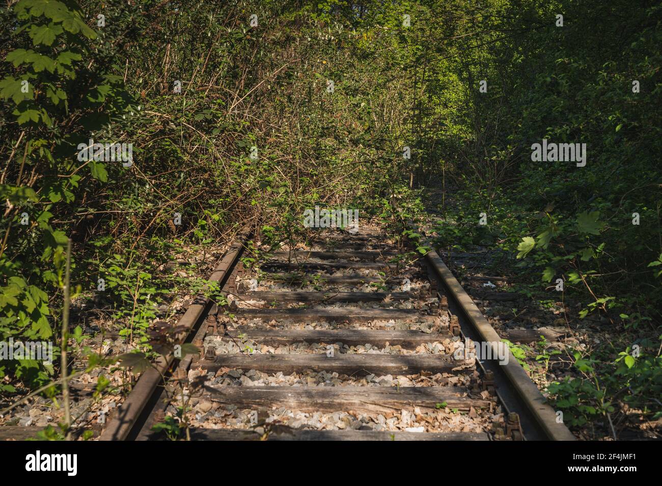 Closed down railway line with overgrown rails in Bottrop, North Rhine-Westphalia, Germany Stock Photo