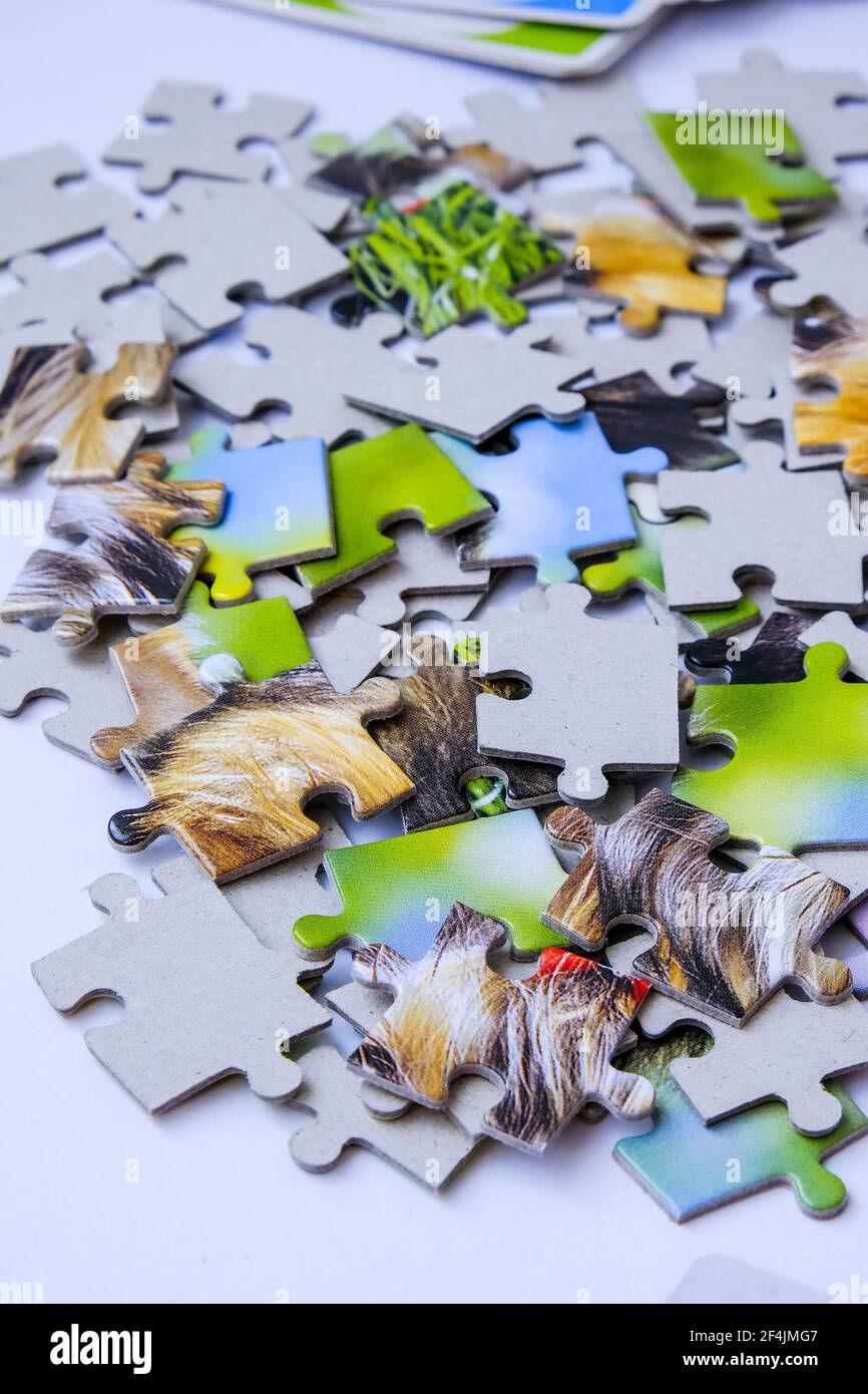 Jigsaw puzzle pieces. Kids assembling a jigsaw puzzle. Fun family