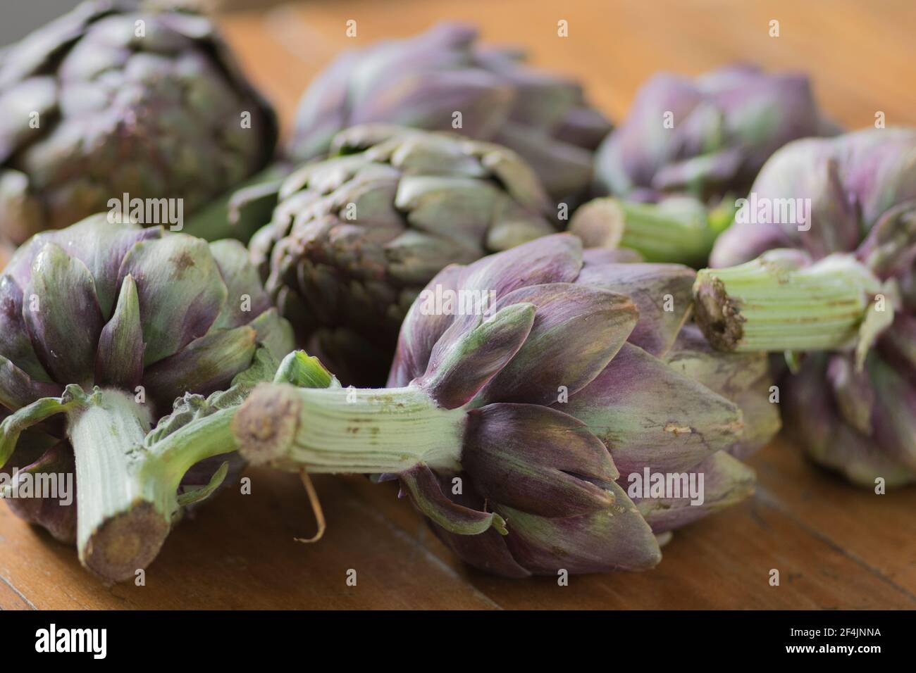 Beautiful Globe Artichokes (Cynara cardunculus var. scolymus), also known by the names French artichoke and green artichoke, in colors of green and pu Stock Photo