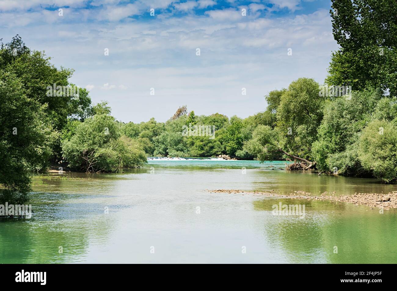 Landscape with forest and a river in front. Beautiful scenery Stock ...