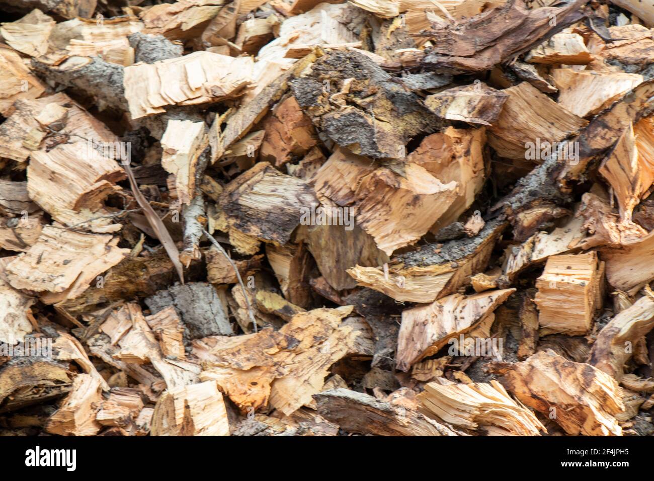 wood trunks texture background Stock Photo