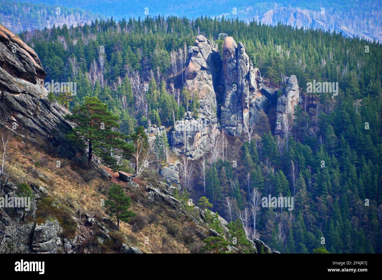 Stolby Nature Reserve Russia Hi res Stock Photography And Images Alamy stolby-nature-reserve-russia-hi-res-stock-photography-and-images-alamy