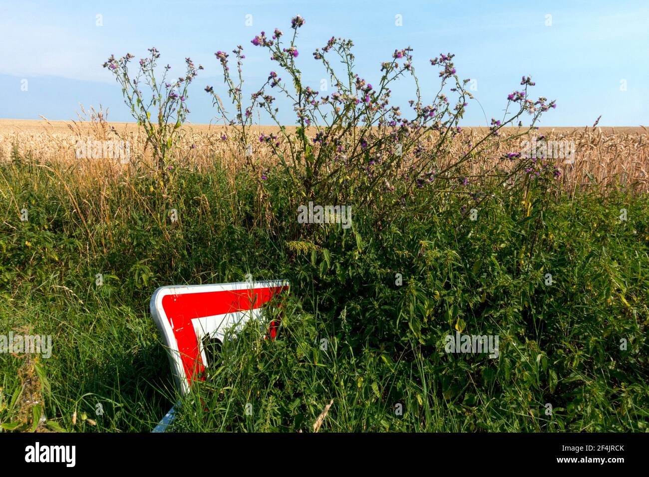 Road sign lying in a ditch, hidden by plants Stock Photo