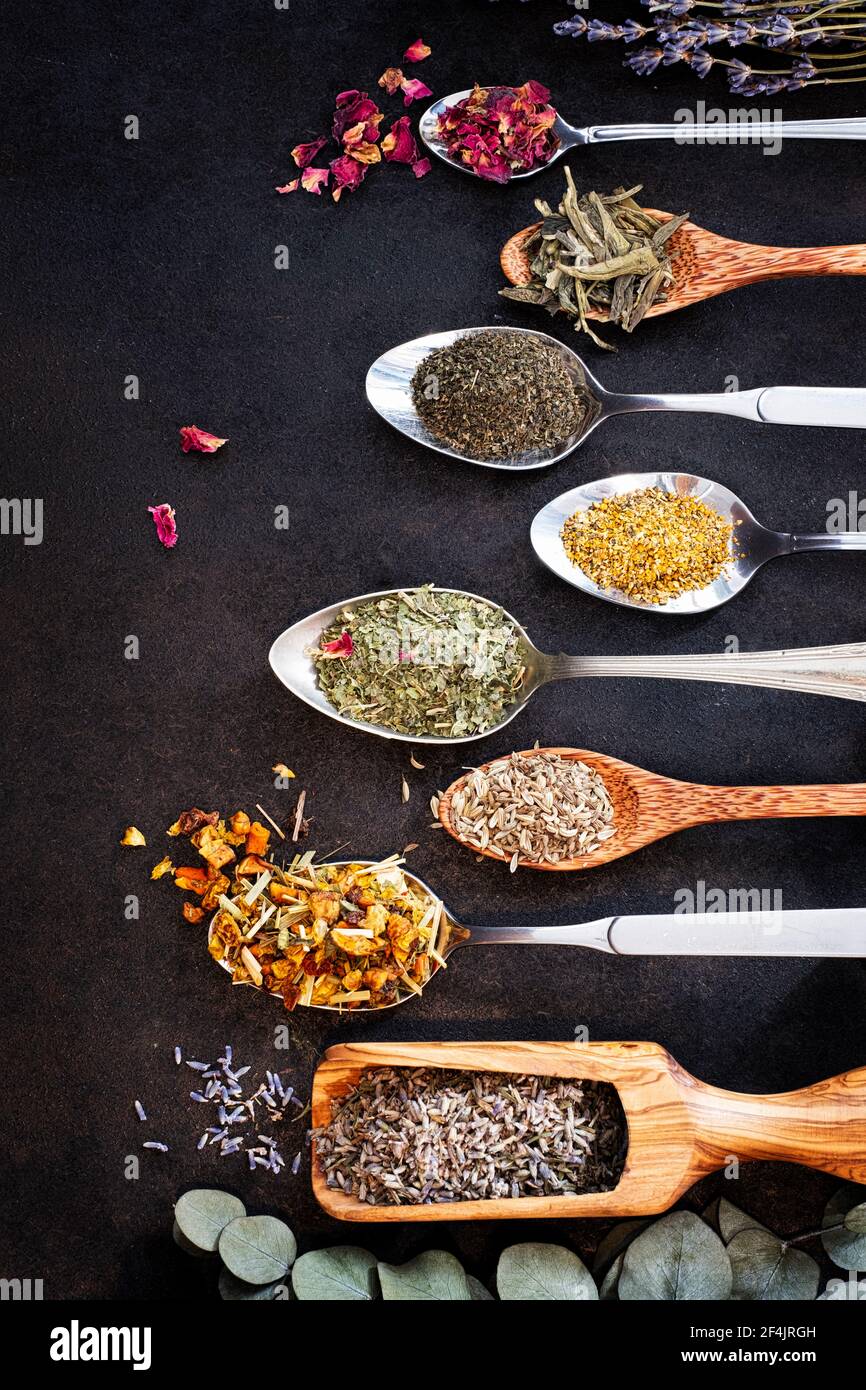 Various tea herbs on a black table, nicely arranged on different spoons Stock Photo