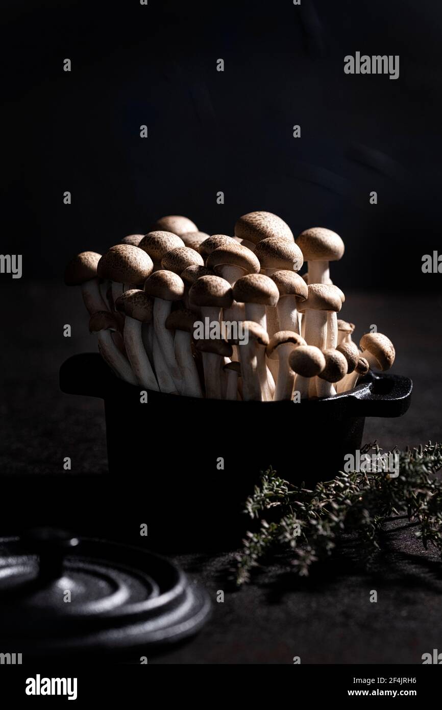 Brown shimeji mushroom group in a black cast iron pot decorated with thyme Stock Photo