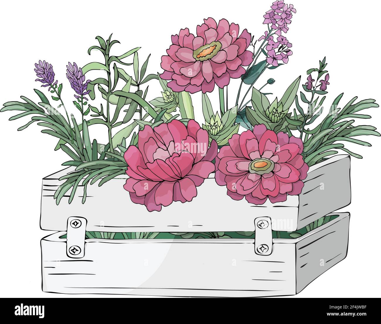 Garden flowers and leaves in a wooden box and farm fresh cooking herbs. Stock Vector
