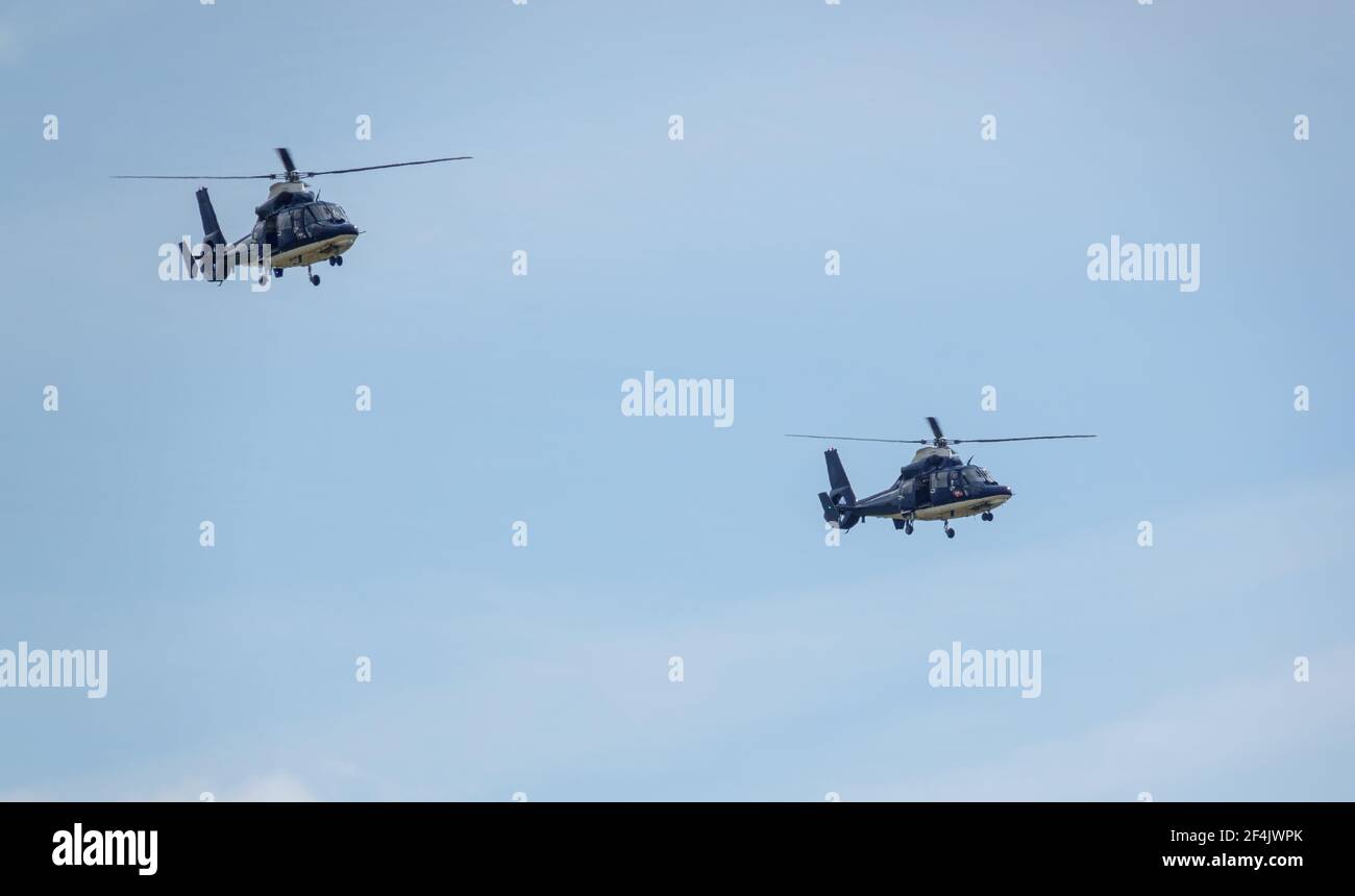 a pair of SAS Special Air Service, Army Air Corps Dauphin helicopters of 658 squadron from Credenhill on a military training exercise, Wiltshire UK Stock Photo