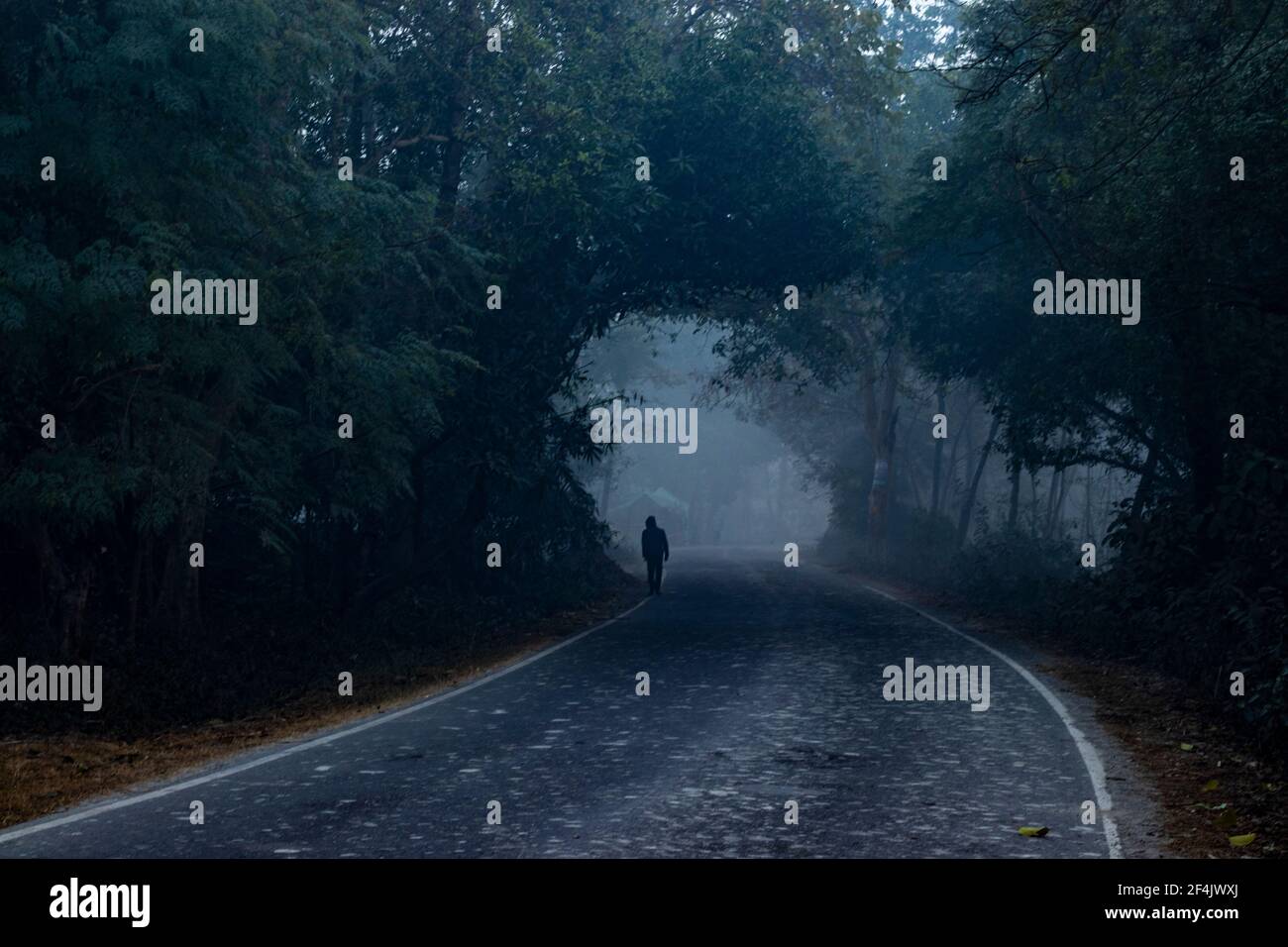 Man walking on road, scary dark night in forest Stock Photo