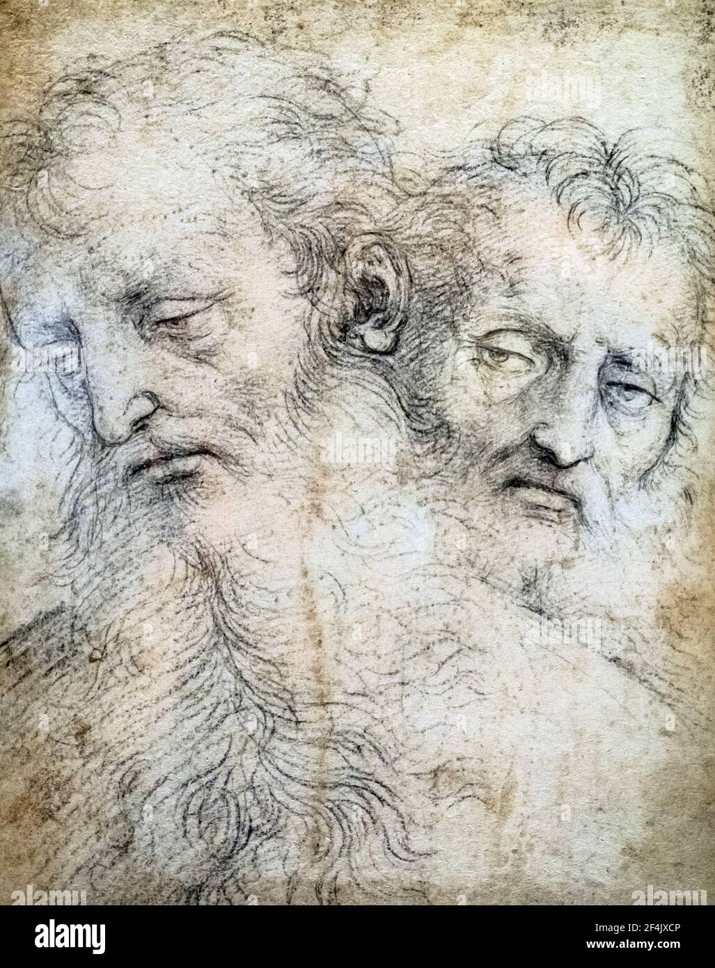 Two heads of Apostles by Raffaello Sanzio known as Raffaello (1483-1520) 1503 Black Chalk, pricked for transfer (auxiliary cartoon) Stock Photo