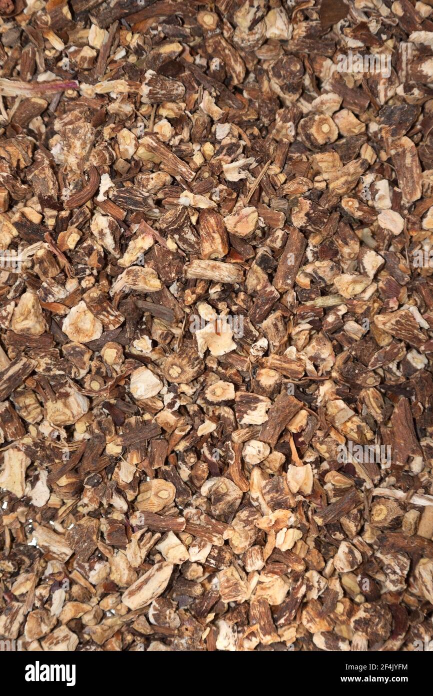 Tea, roots of Taraxacum Stock Photo Alamy