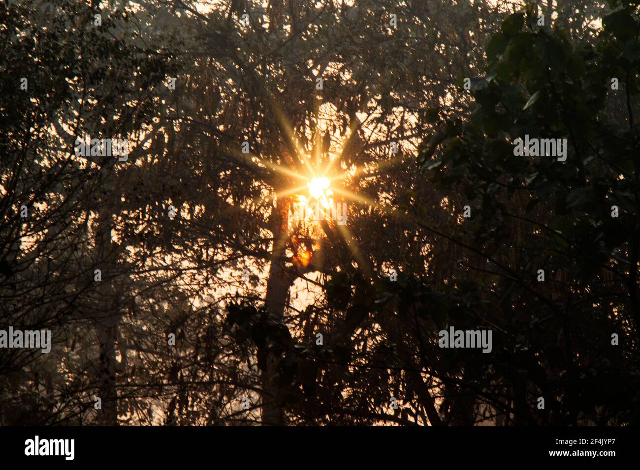 Colorful autumn sunrise on meadow Stock Photo