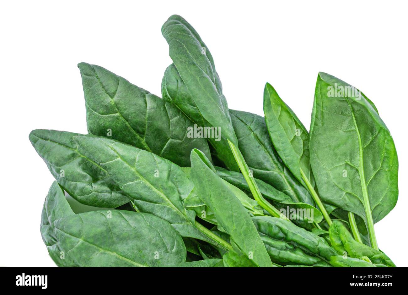 Pile of fresh green baby spinach leaves isolated on white background ...