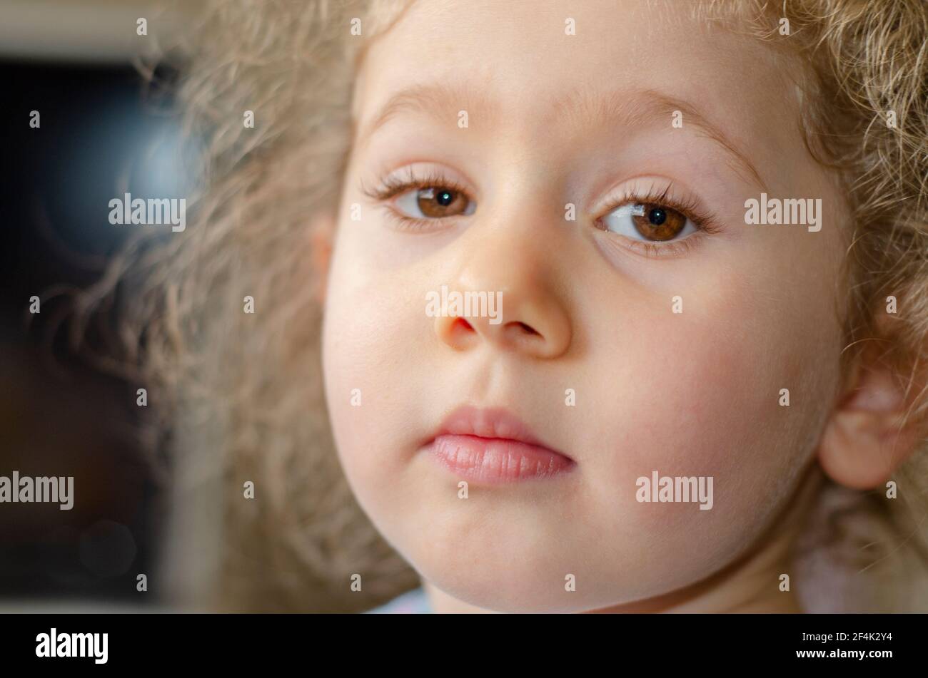 Chubby little girl with light brown eyes and blond hair is looking at the camera. Selective Focus Eyes Stock Photo