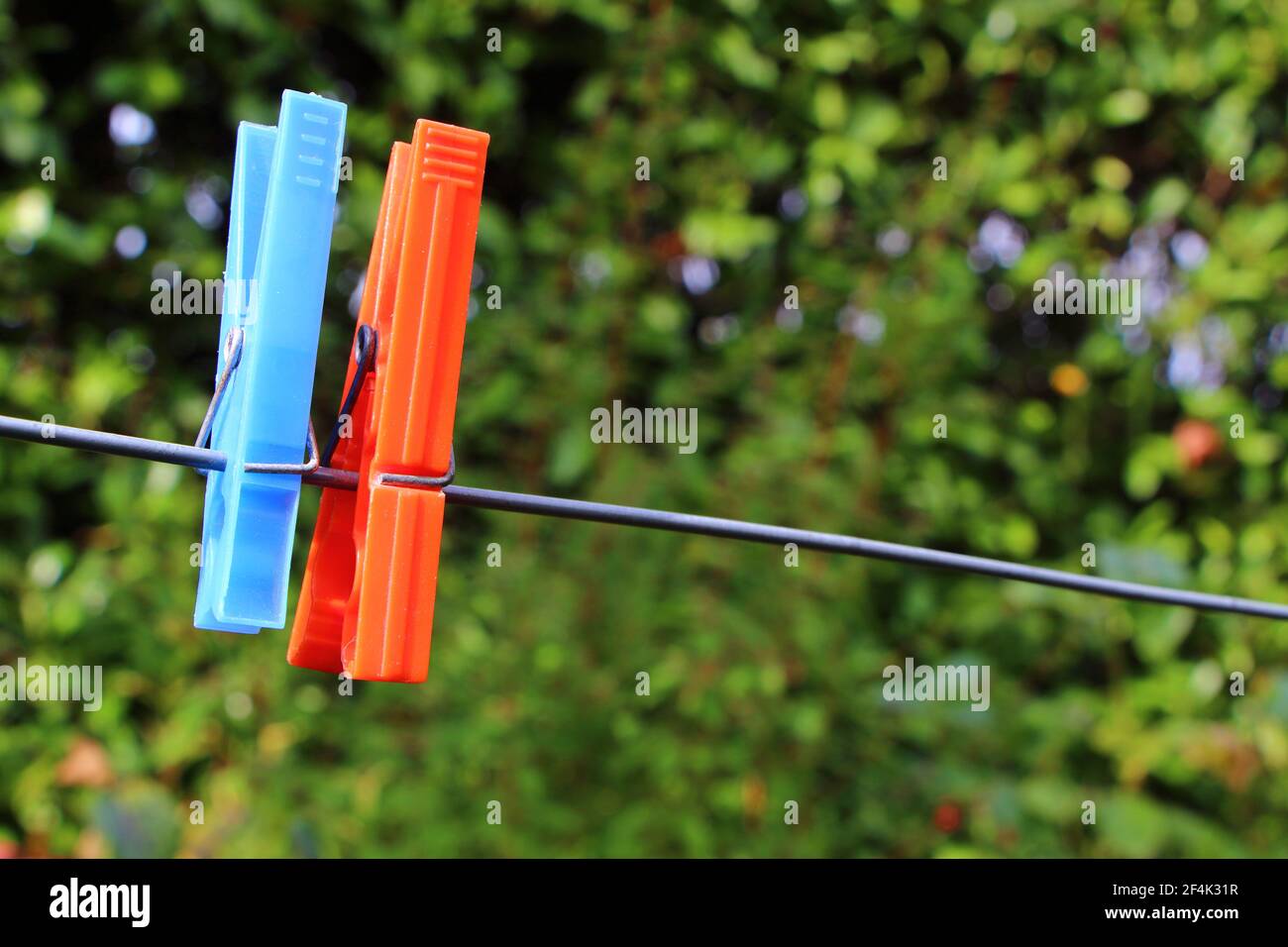 Blue and red clothes pin on a washing line in a garden Stock Photo Alamy