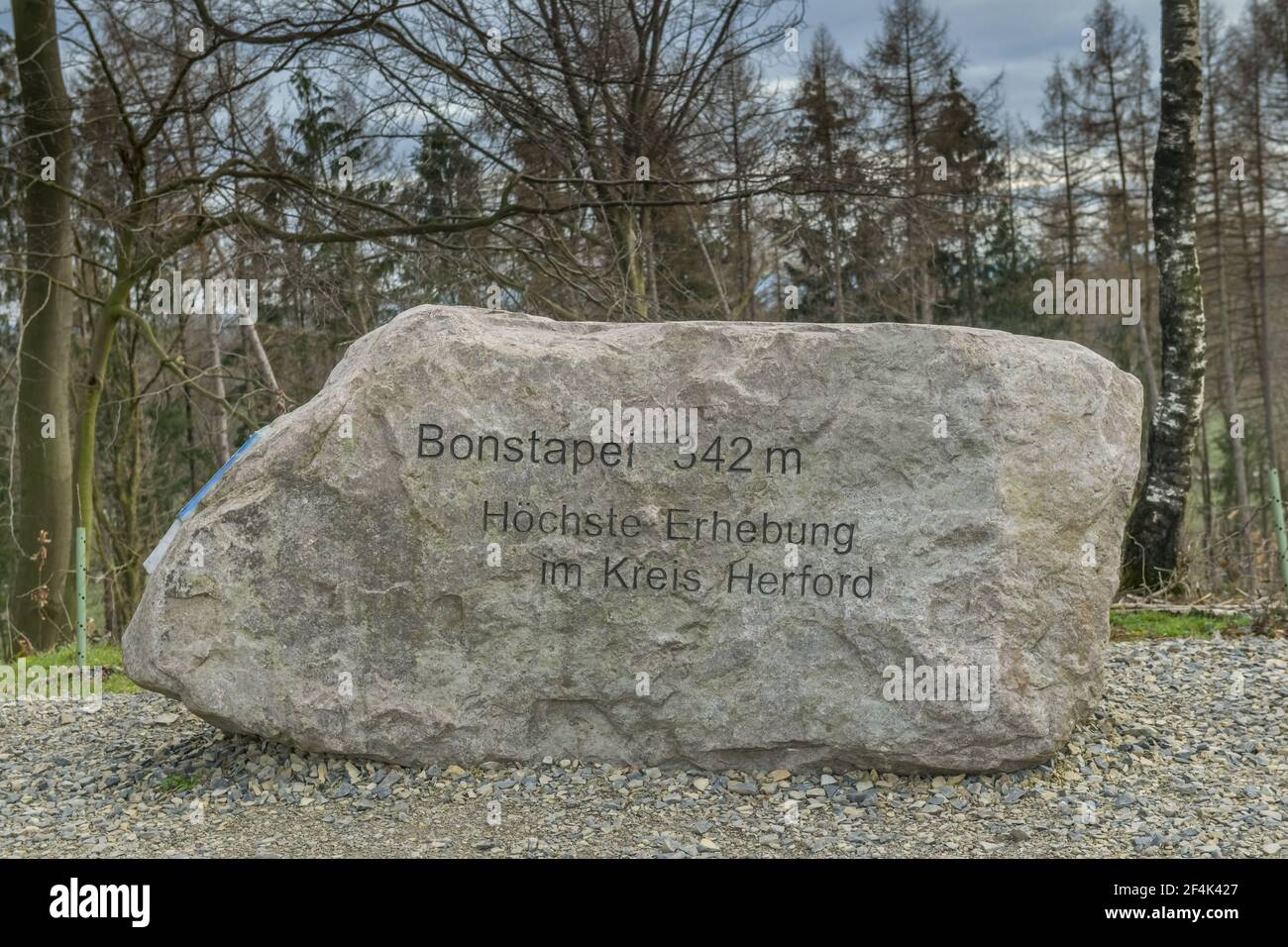Findling, Naturschutzgebiet Bonstapel, Vlotho, Kreis Herford, Ostwestfalen, Nordrhein-Westfalen, Deutschland Stock Photo