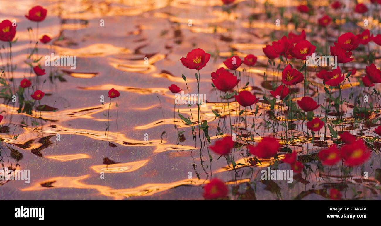 3d poppies hi-res stock photography and images - Alamy